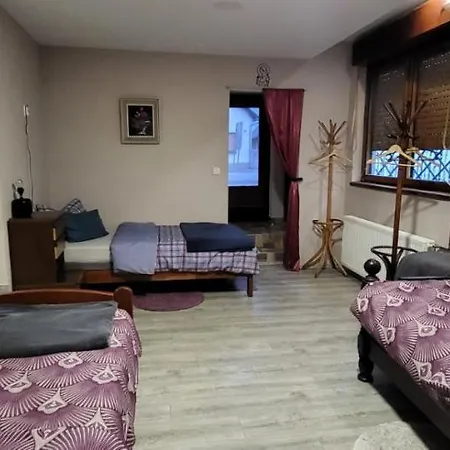 Pri Dovetu Apartment Thurdevac Exterior photo